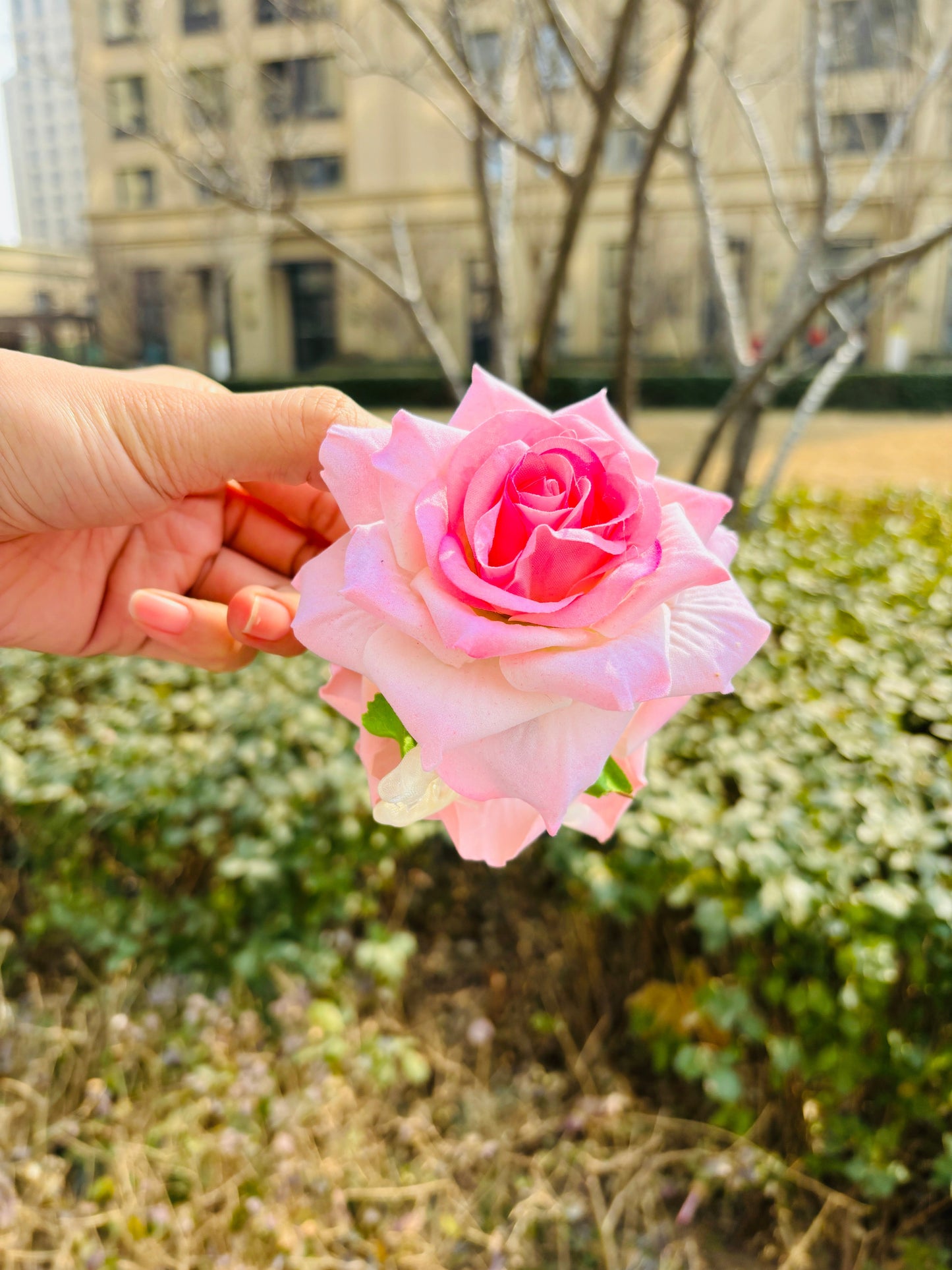 Pink Rose Hair Claw